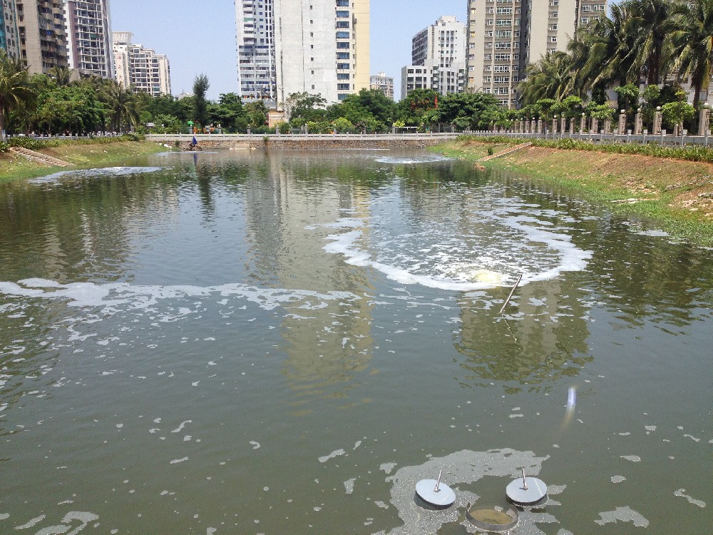 黑臭水體等方面的水污染控制