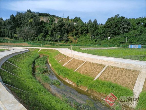 流域綜合整治